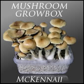 Buy Magic Mushroom Growbox Mckennaii