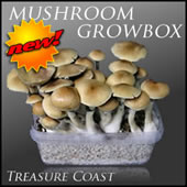 Magic Mushroom Growbox Treasure Coast